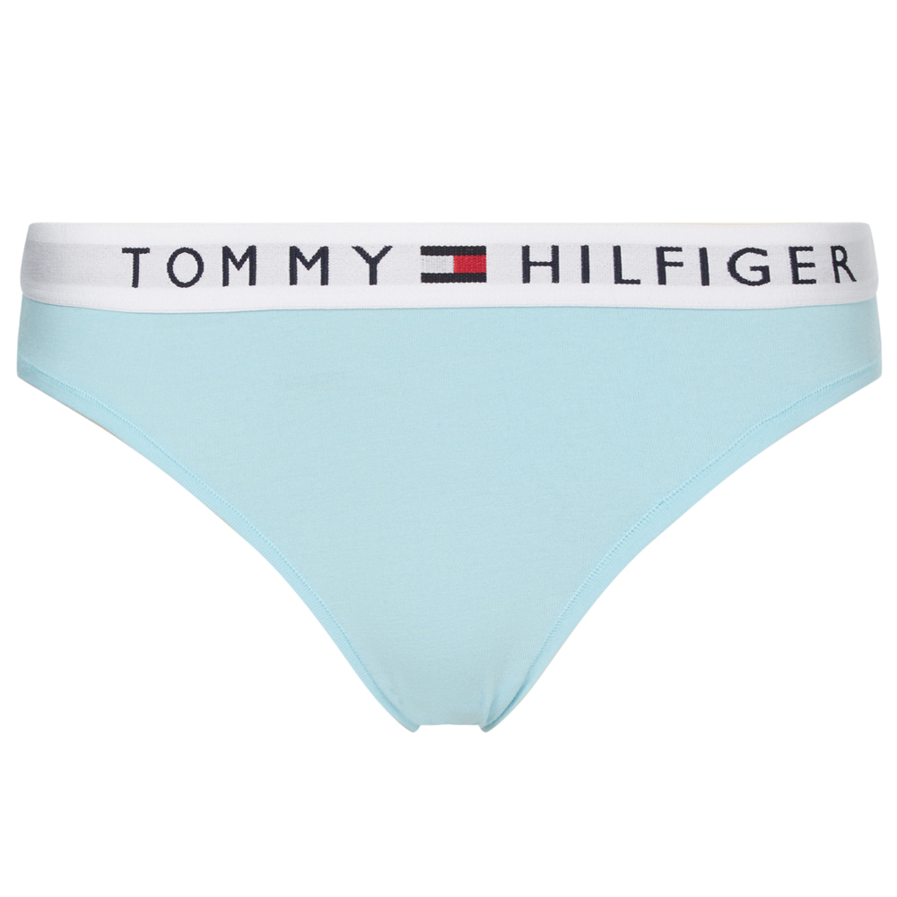 Tommy Hilfiger Logo Waistband Stretch Cotton Briefs - L, CRYO ICE L female
